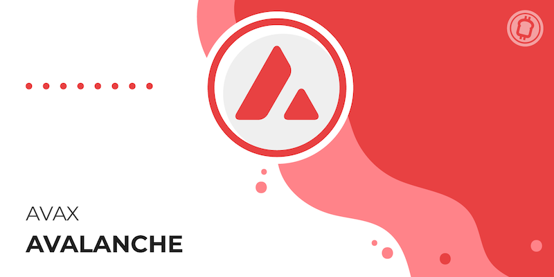 老韭菜血泪总结!【AVAX/BNB】波段操作5大致命误区 - php中文网